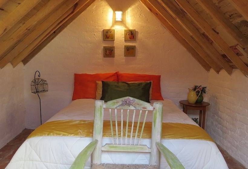 فندق فئة نجمة واحدة Cielito Mexicano