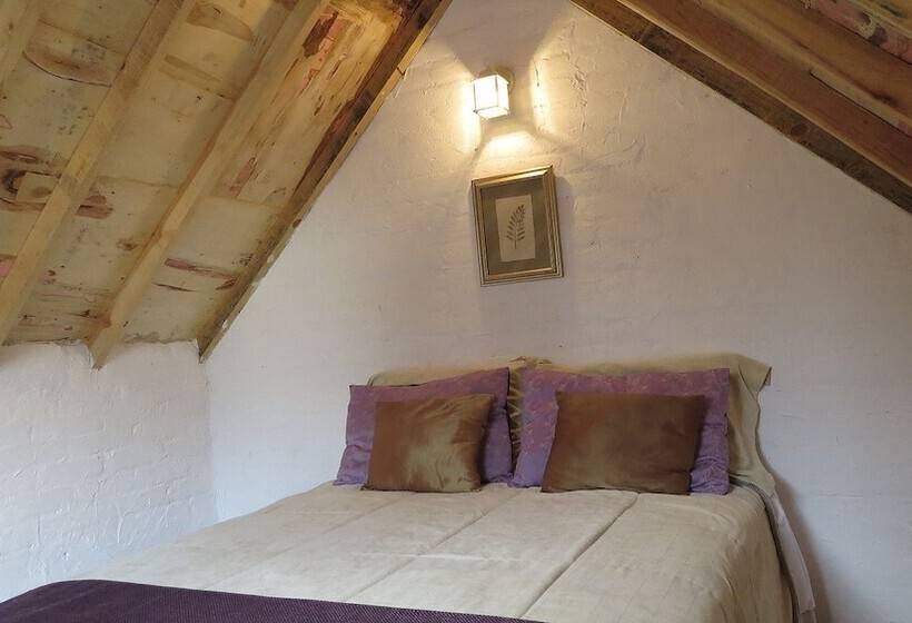 فندق فئة نجمة واحدة Cielito Mexicano