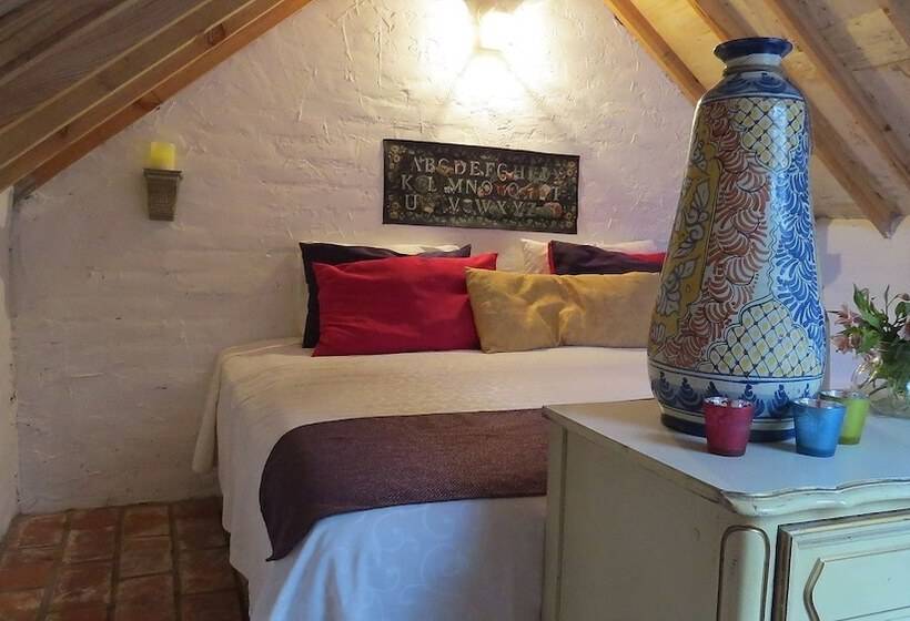 فندق فئة نجمة واحدة Cielito Mexicano