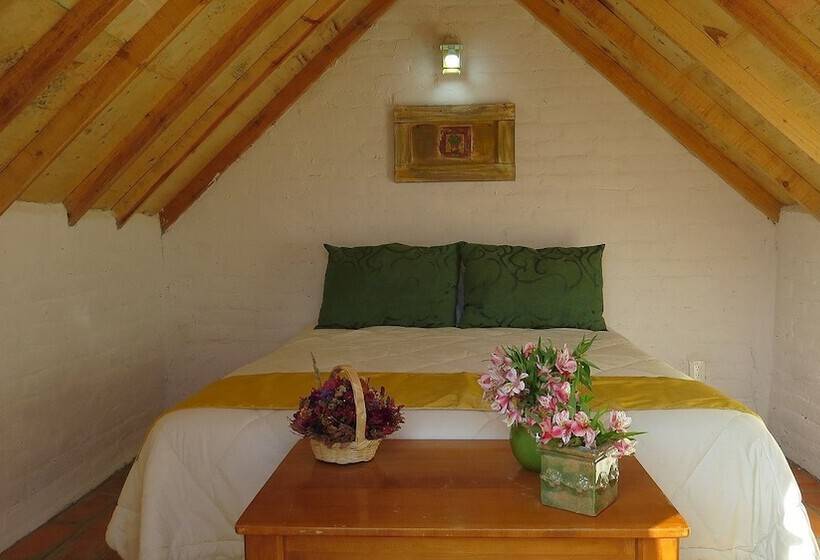 فندق فئة نجمة واحدة Cielito Mexicano