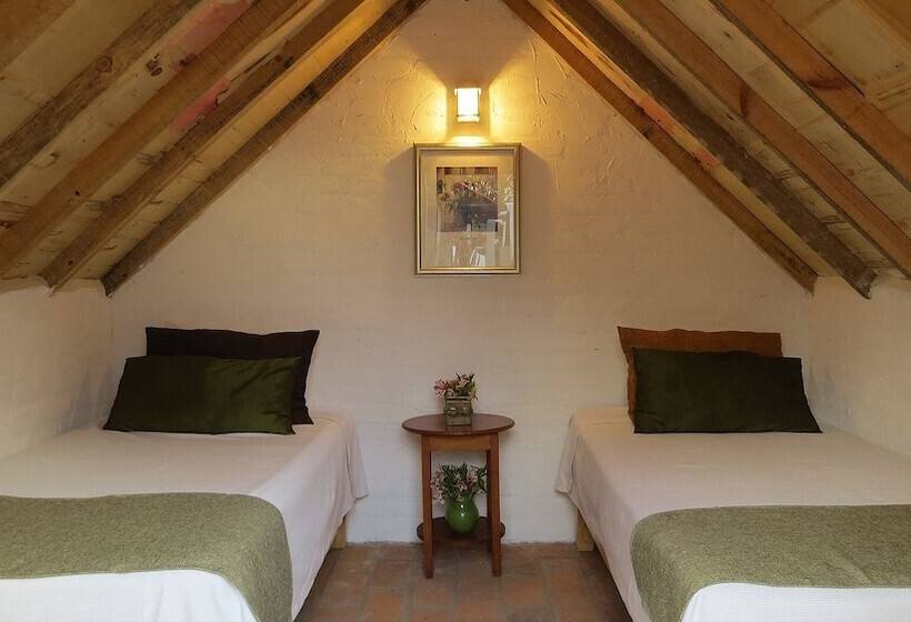 فندق فئة نجمة واحدة Cielito Mexicano