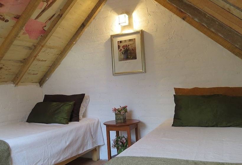 فندق فئة نجمة واحدة Cielito Mexicano