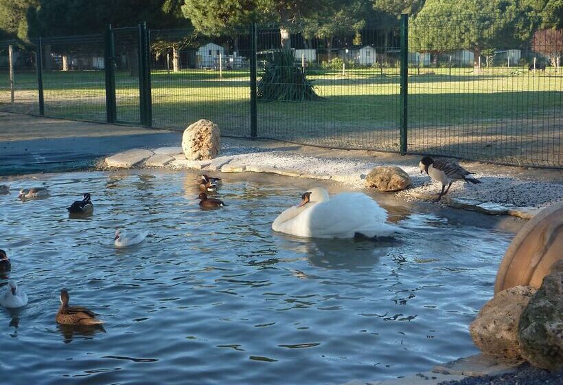 酒店 Camping Le Sainte Marie