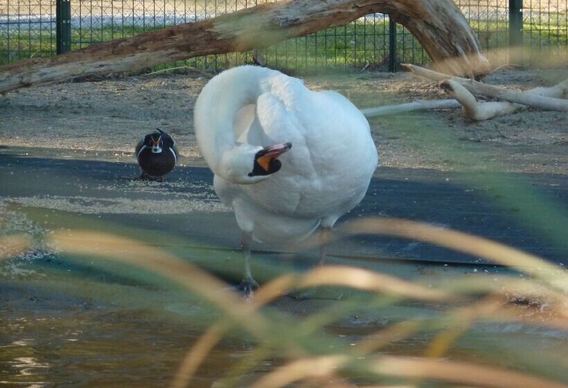 Отель Camping Le Sainte Marie