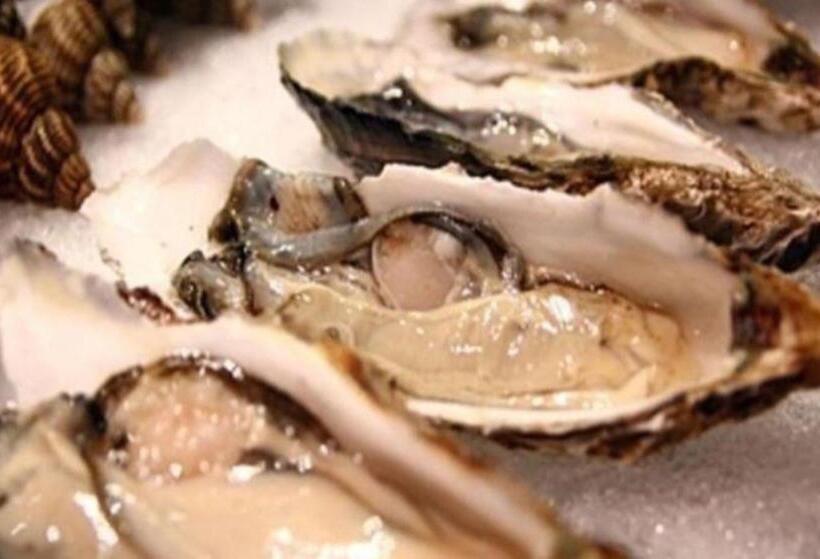 호텔 Eurasia International