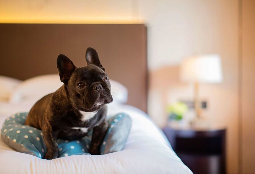 Отель Hyatt Regency Chongming