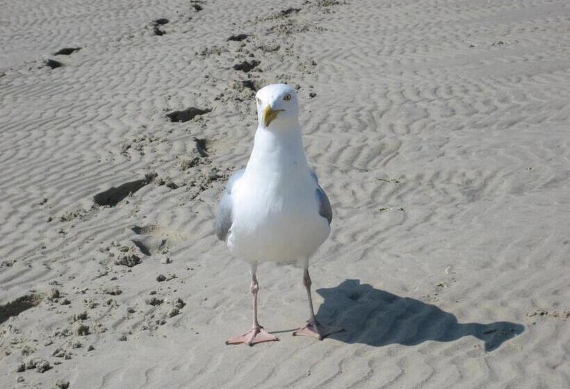 فندق Landhaus Riedel