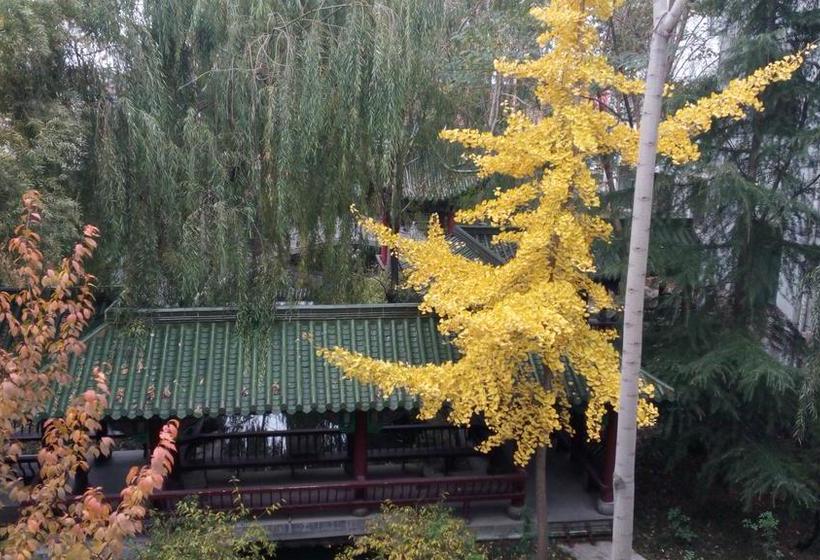 Yibin Grand Hotel Jincheng