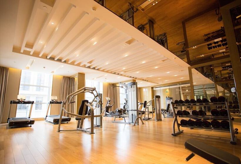 酒店 Pullman Shishi Mattison