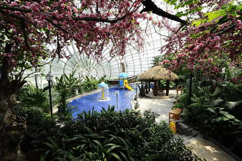 فندق Shengtai International