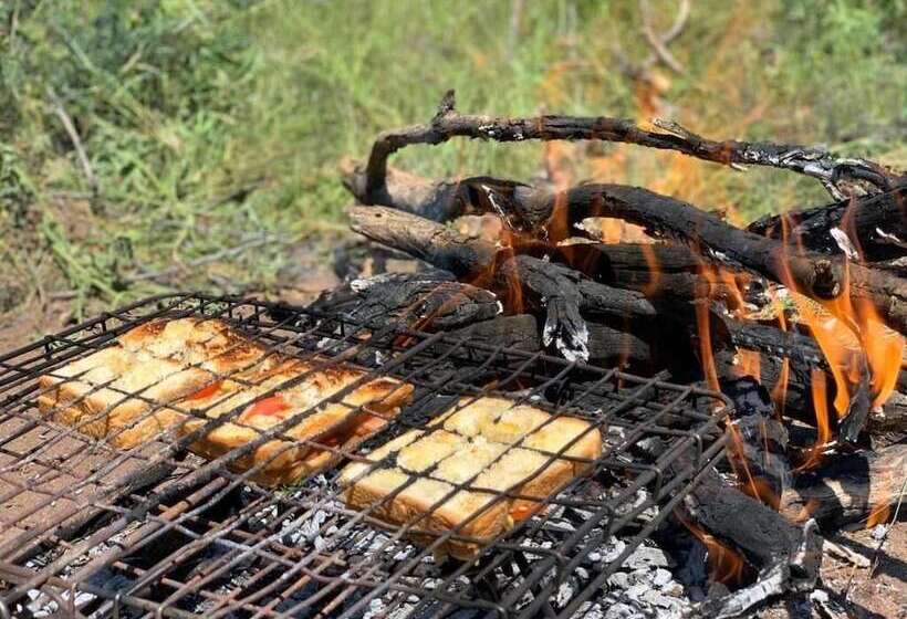 酒店 Africa Awaits Lodge & Safaris