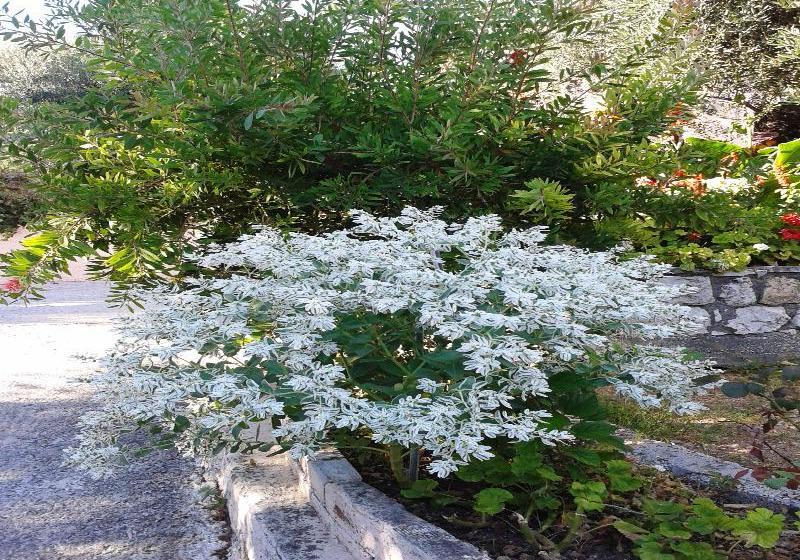 Apostolos & Eleni Family Apartments