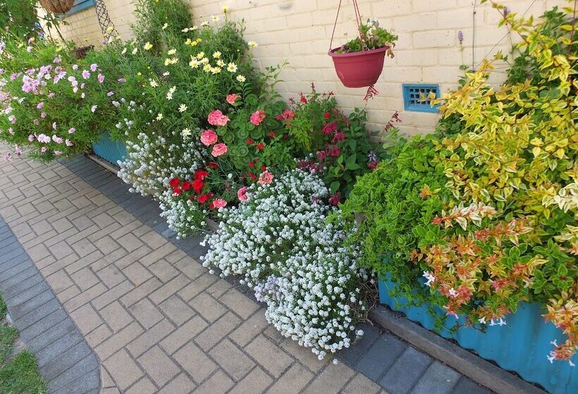 ホテル 1849 Backpackers Albany