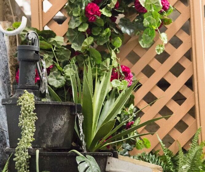 ホテル 1849 Backpackers Albany