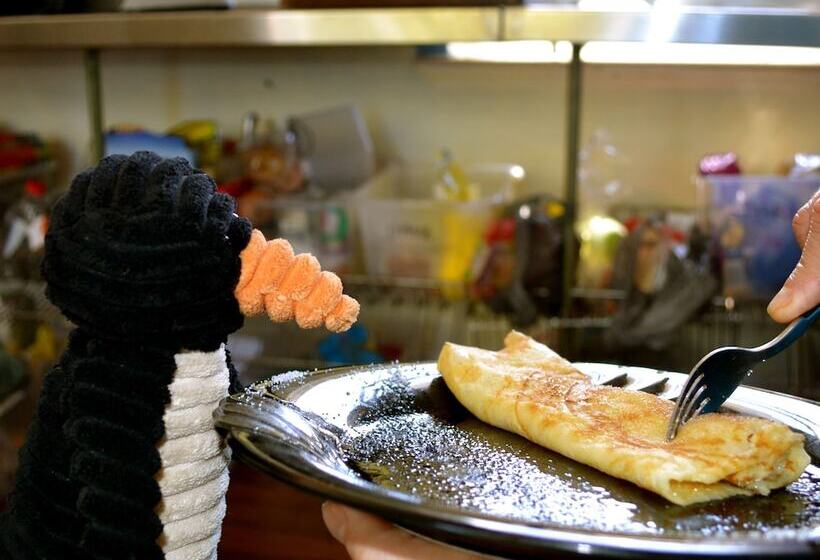 ホテル 1849 Backpackers Albany