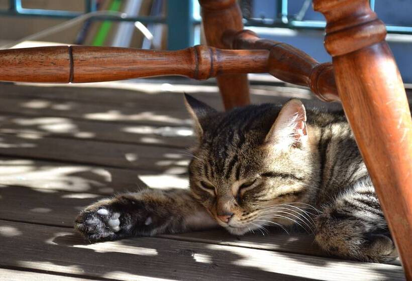 هتل 1849 Backpackers Albany