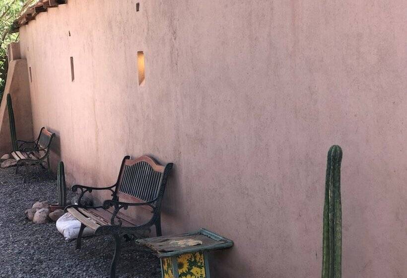 酒店 Antaira Bed And Tours