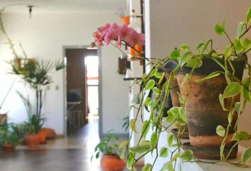 בית מלון כפרי Apart  Manhattan