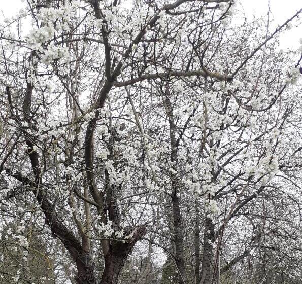 فندق B&b De Dubbelmolen