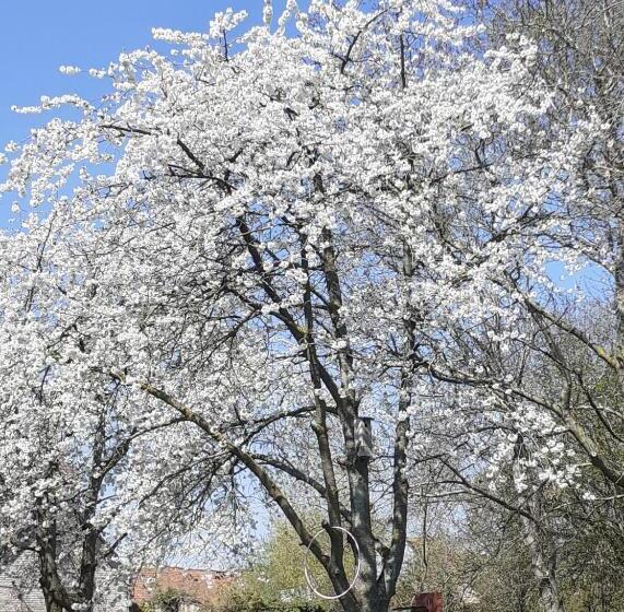 فندق B&b De Dubbelmolen
