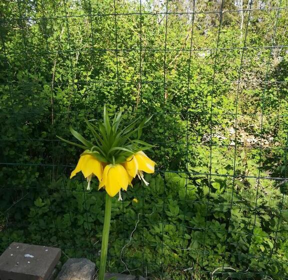 فندق B&b De Dubbelmolen