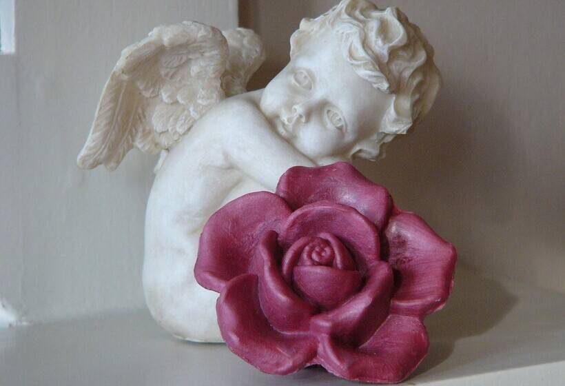 Отель B&b Lady Jane