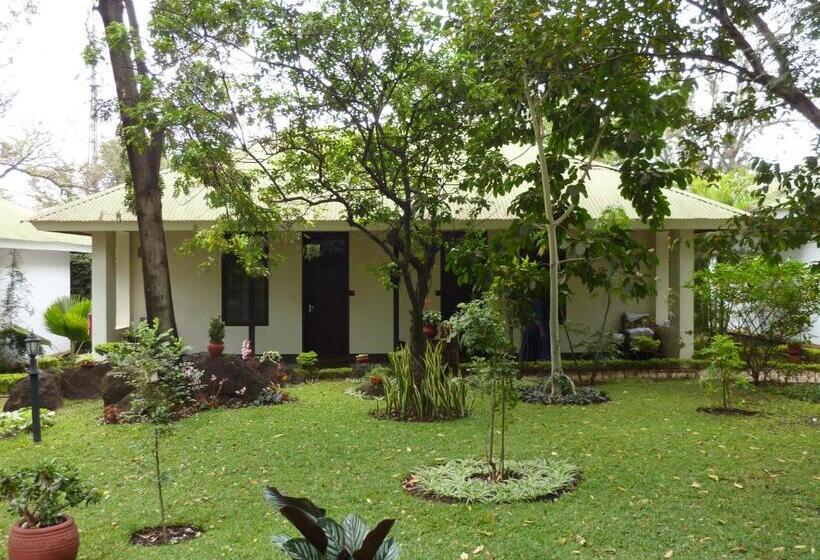 호텔 Bristol Cottages Kilimanjaro