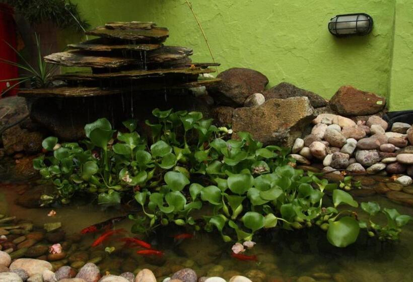 ホテル Cosmopolitan Hostel