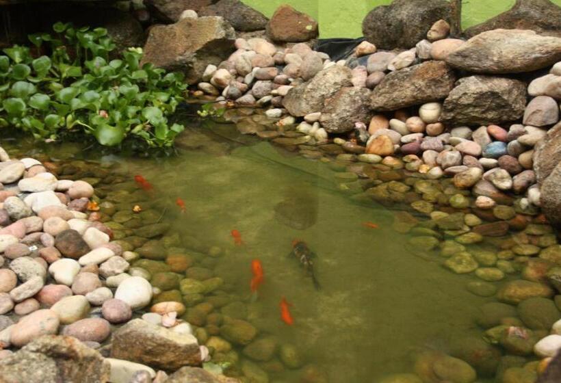 ホテル Cosmopolitan Hostel