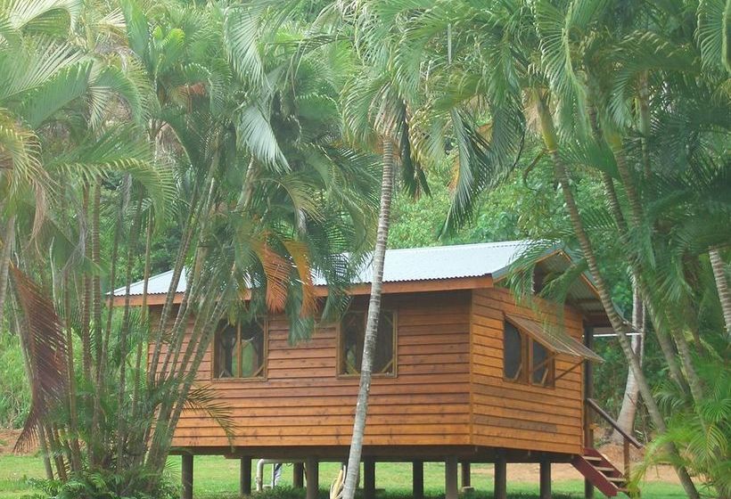 בית מלון כפרי Daintree Rainforest Bungalows
