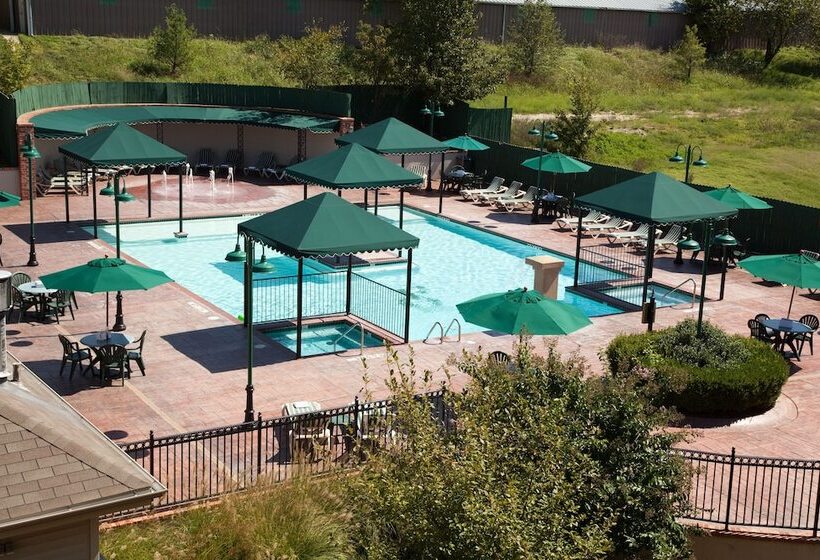 فندق French Quarter Resort