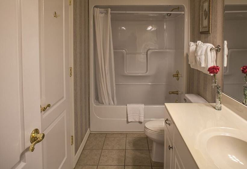 فندق French Quarter Resort