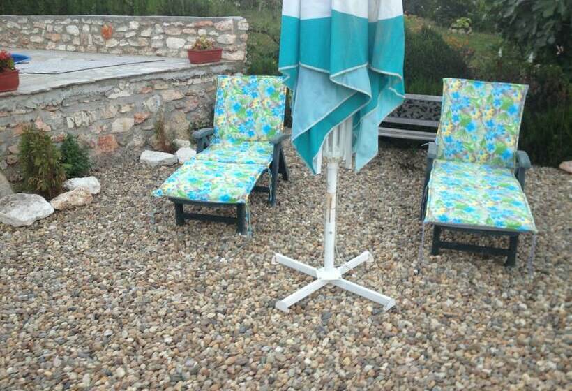 酒店 Guest House Botanical Garden