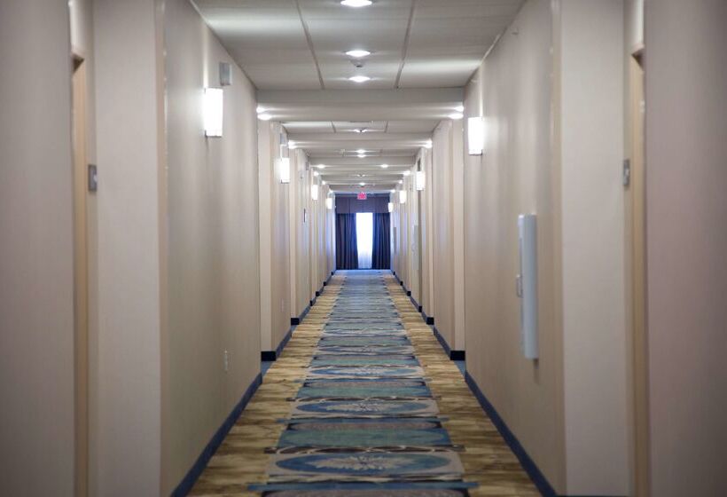 בית מלון כפרי Hampton Inn & Suites Mckinney