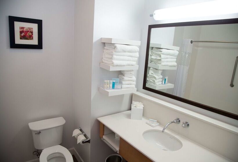 בית מלון כפרי Hampton Inn & Suites Mckinney