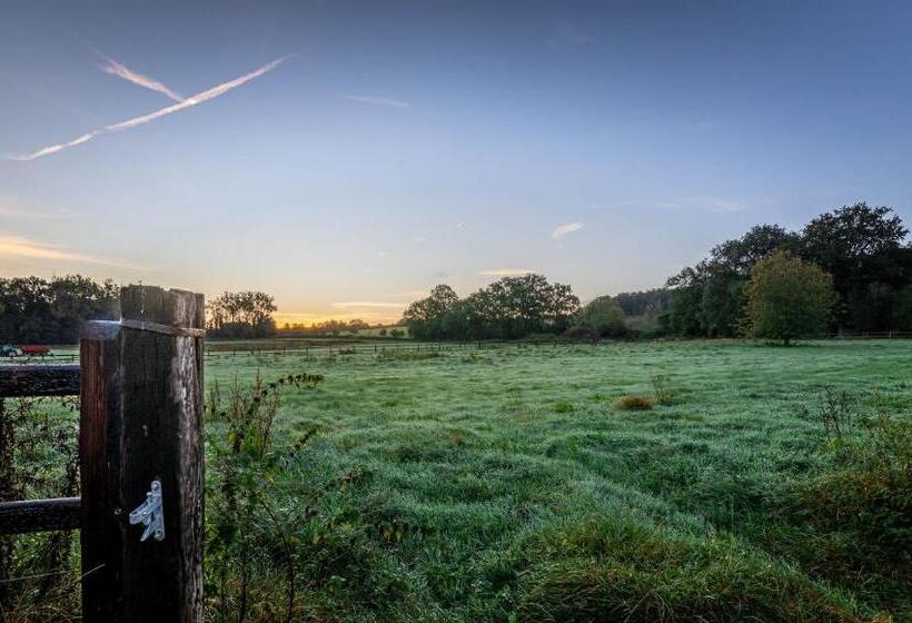 Отель Landgoed Altenbroek