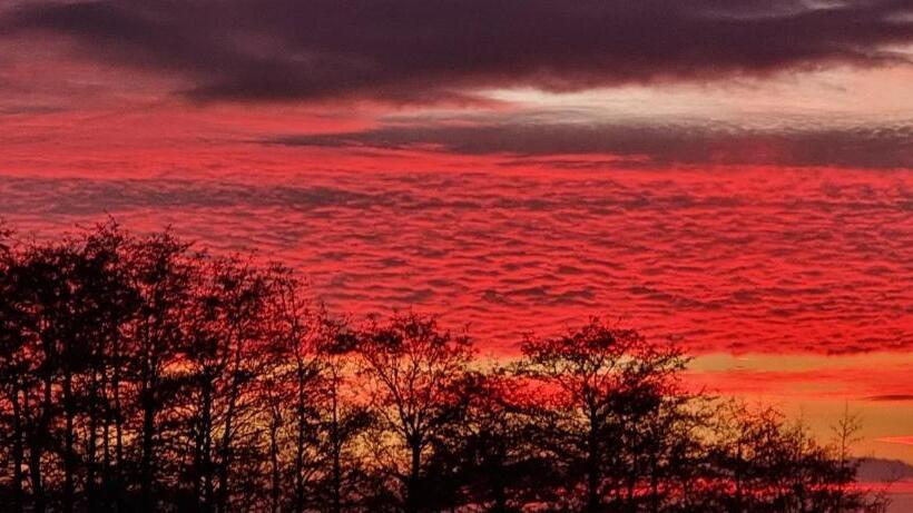 فندق Landhuis 't Wilgenerf