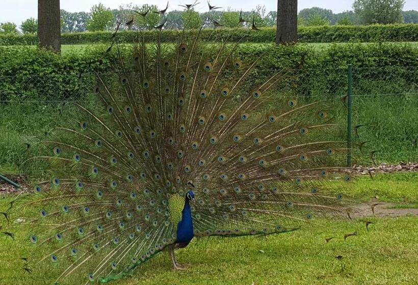 Отель Landhuis 't Wilgenerf