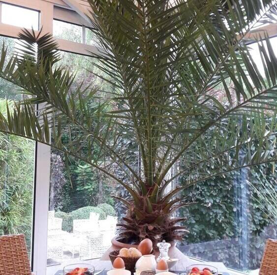 Отель Martinique