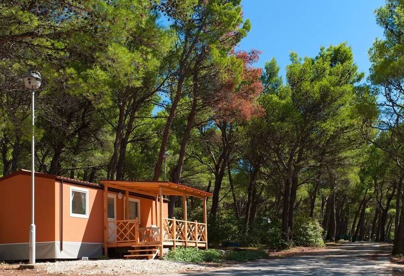 호텔 Mobile Homes Baško Polje Campground