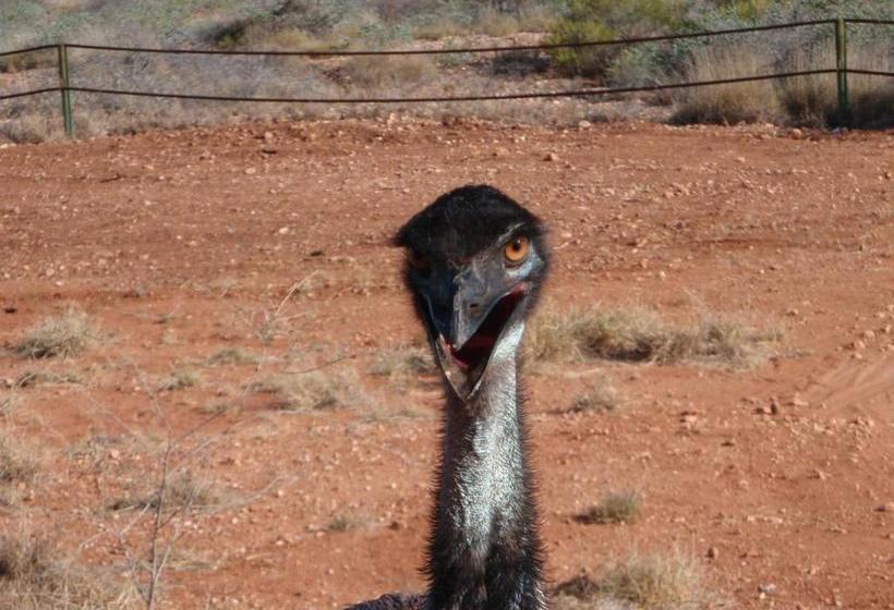 هتل Ningaloo Bed And Breakfast