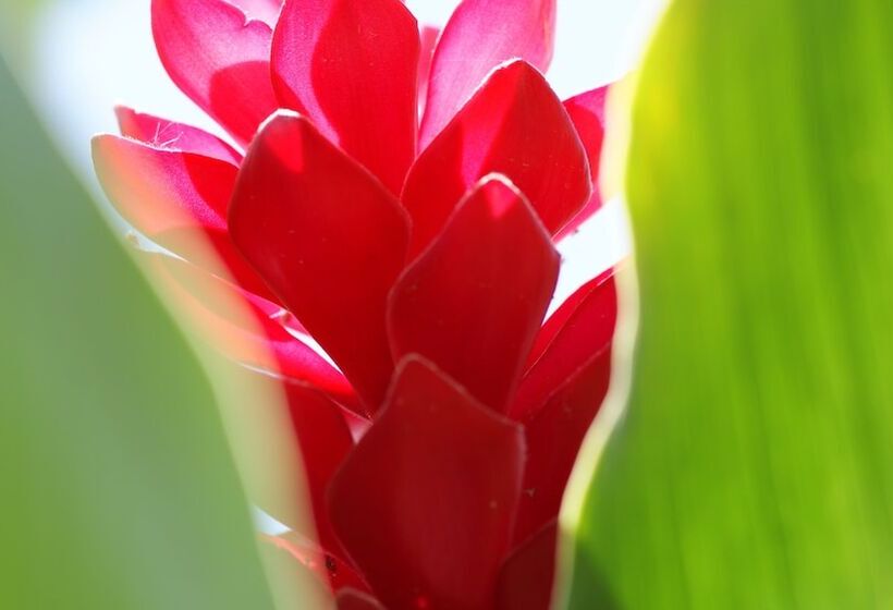 Отель Ocean Imperium