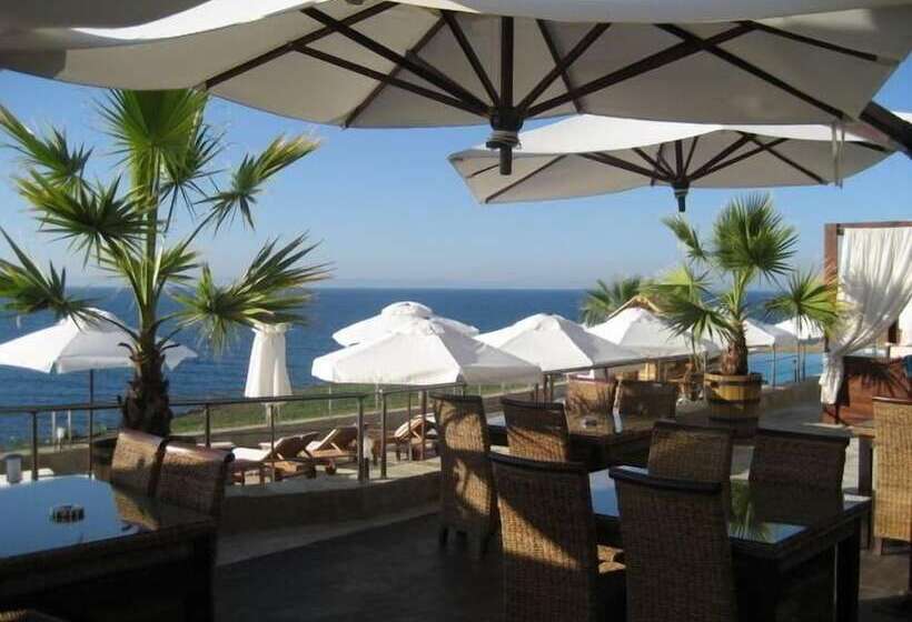 酒店 Ofir Apartment