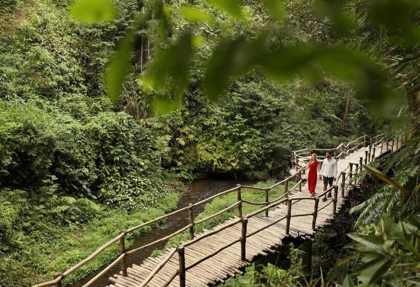 בית מלון כפרי Padma Resort Ubud