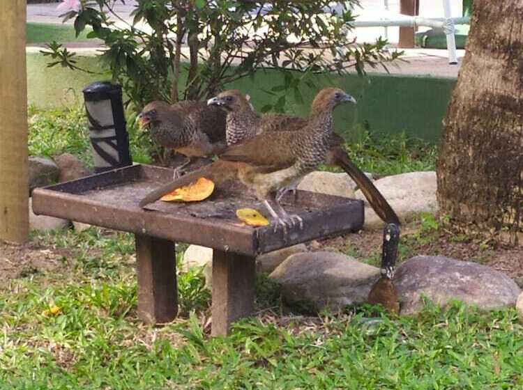 فندق Pousada Cantinho Do Sossego