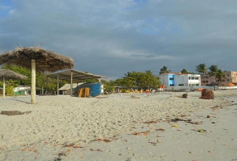 בית מלון כפרי Pousada Ciranda