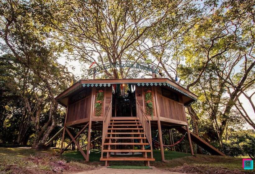 Отель Pousada Do Bosque