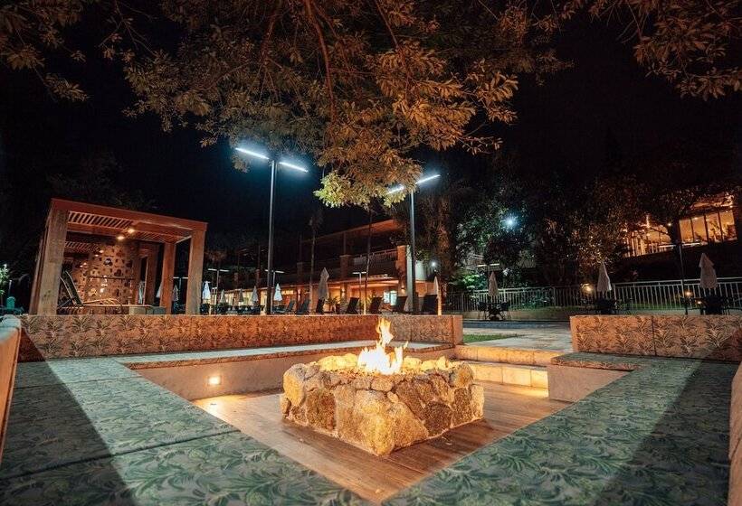 Отель Pousada Do Bosque