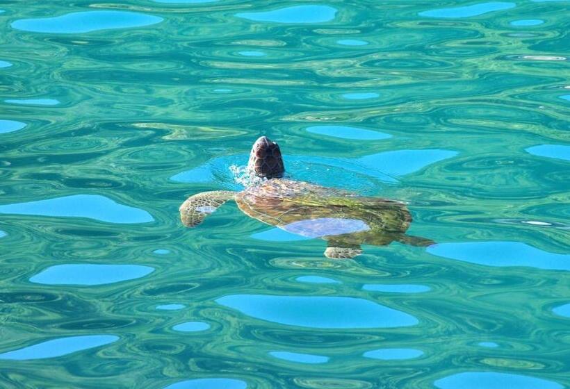 בית מלון כפרי Pousada Estalagem Do Porto