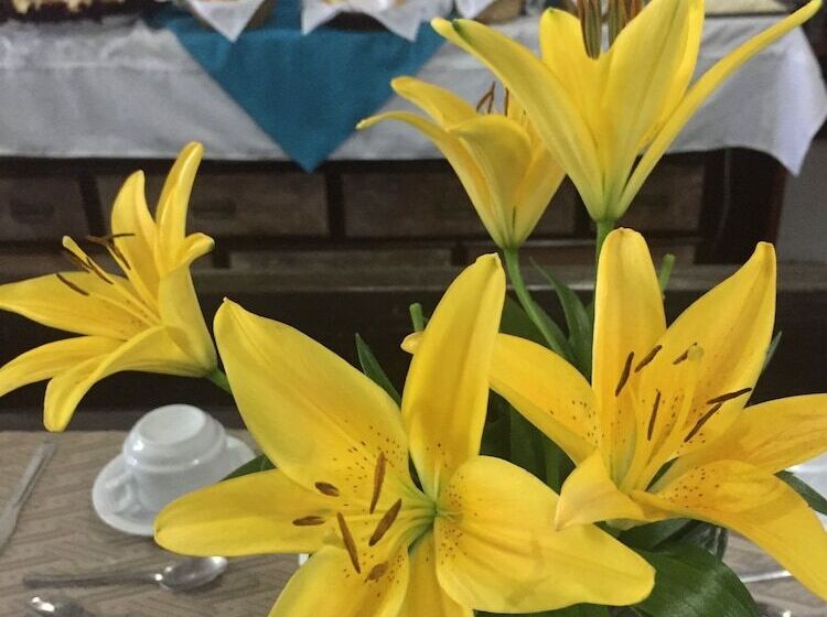 בית מלון כפרי Pousada Estalagem Do Porto